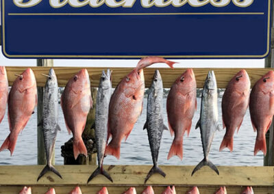 Destin Charter Fishing 22