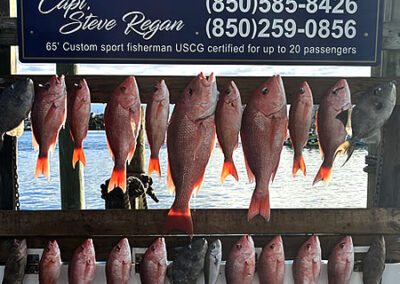 Destin Charter Fishing 25