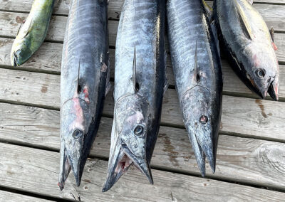 Destin Charter Fishing 34