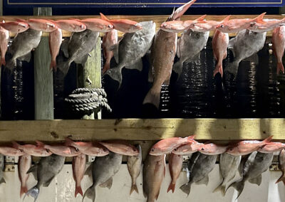 Destin Charter Fishing 36