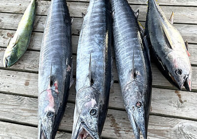 Destin Charter Fishing 4